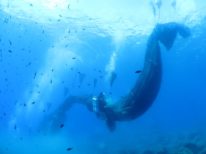 The net weighed almost 3 tons&nbsp;and measured 650 feet long.