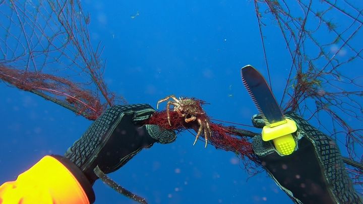 A diver works to free a crab caught in the ghost net recovered off the coast of the Aeolian Islands. Ghost nets are death tra