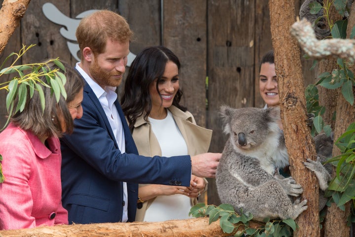 The Duke and Duchess of Sussex meet a Koala called Ruby during a visit to Taronga Zoo in Sydney. 