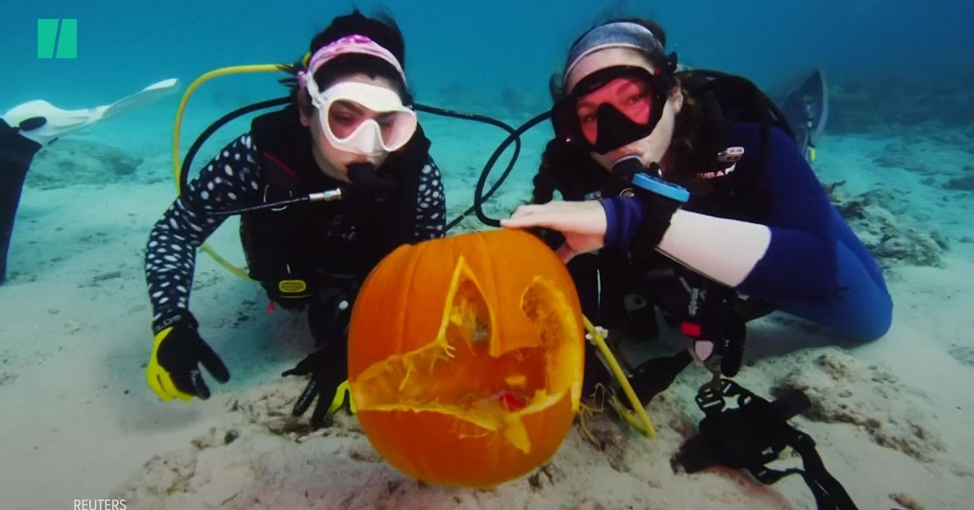 Underwater Pumpkin Carving Contest HuffPost