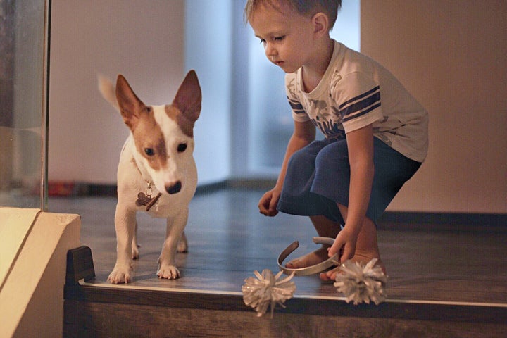 6 Golden Lessons To Keep Your Kids Safe Around Dogs