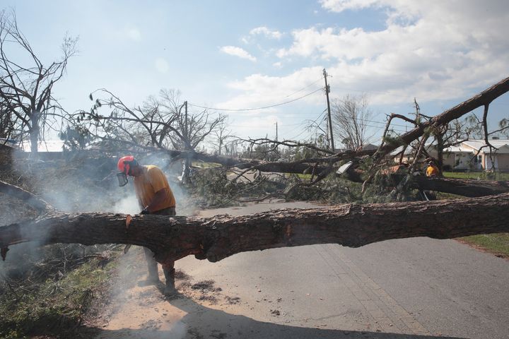 Frank Barone coupe un arbre abattu par l'ouragan Michael et bloque une rue résidentielle le 14 octobre 2018 à Pa