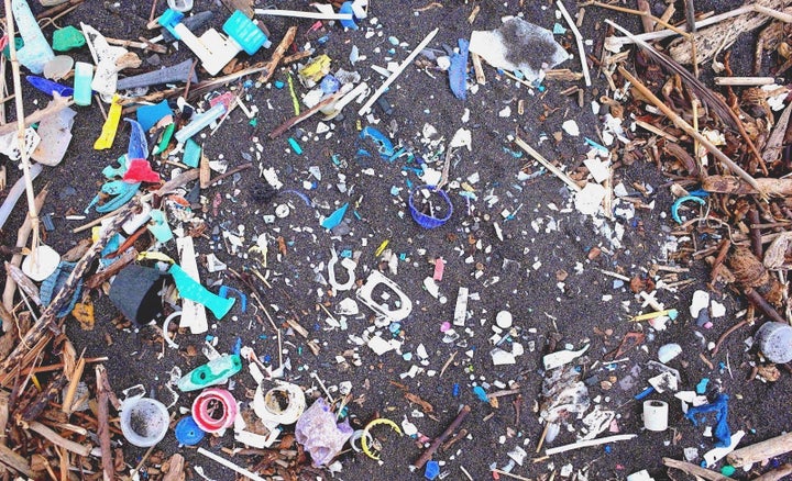 Plastics on St. Helena’s shore.