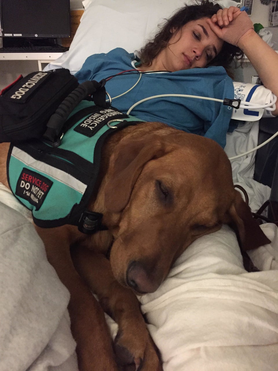 can service dogs be left alone