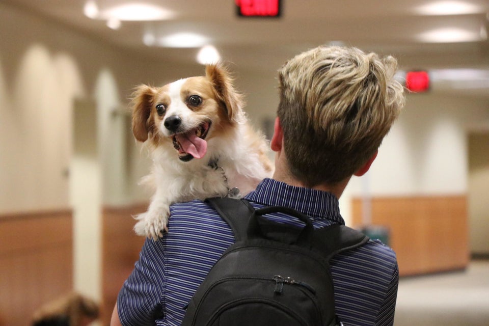 23 Photos That Capture The Bond Between Service Dogs And Their Humans PET-icure Pet Grooming & Supplies Pepperell Massachusetts 01463