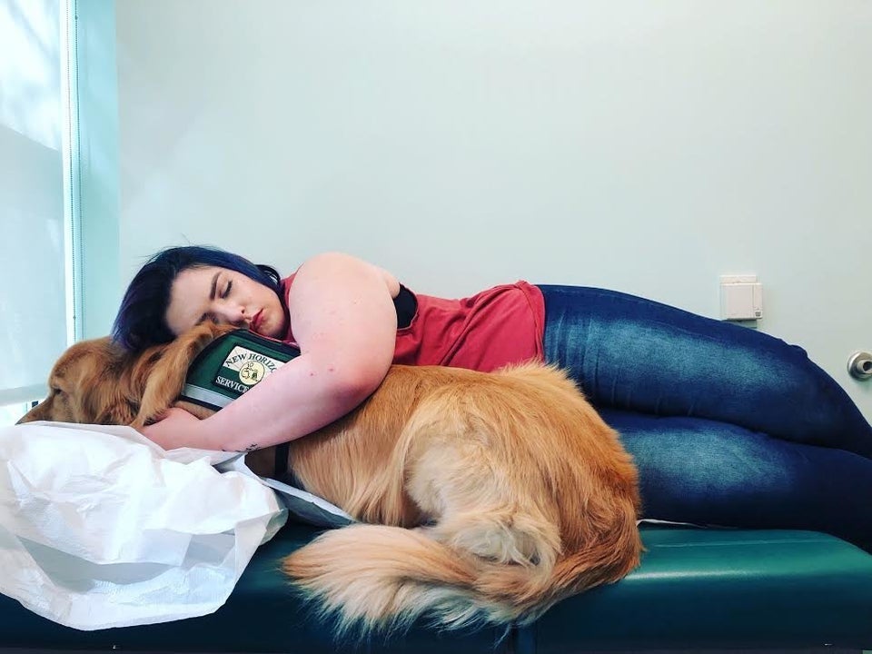 23 Photos That Capture The Bond Between Service Dogs And Their Humans PET-icure Pet Grooming & Supplies Pepperell Massachusetts 01463