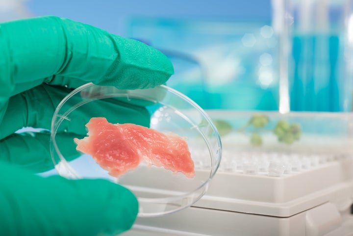 Will people want to eat meat grown in a lab?