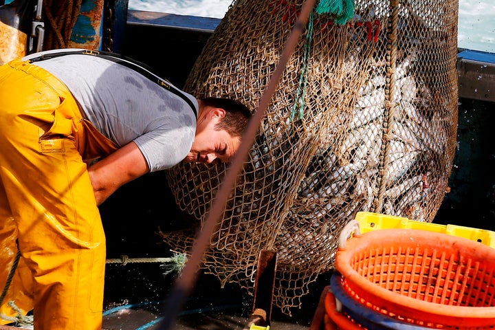 Nearly 90 percent of the world’s marine fish stocks are now fully exploited, overexploited or depleted.