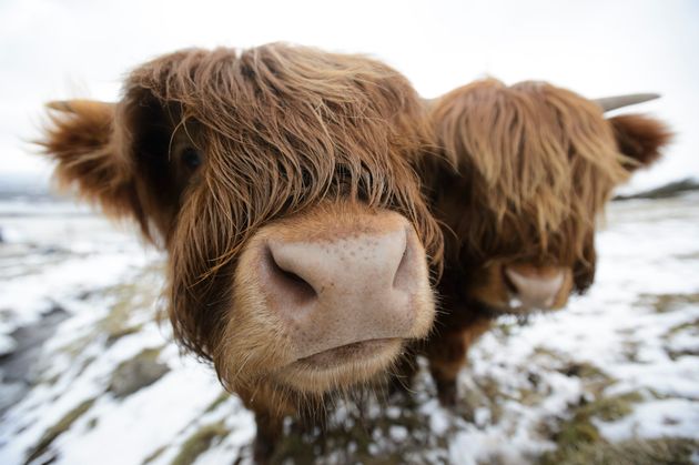 Snow is set to fall in the Scottish Highlands 