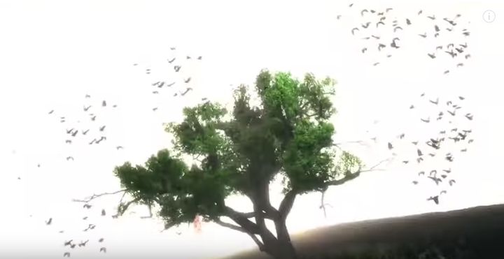The tree in "The Walking Dead" credits.