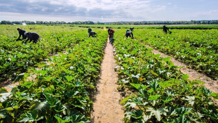 Migrant farm workers in Mechanicsville, Virginia, 2013.