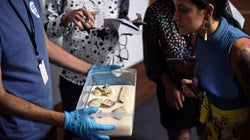 Βραζιλία: Βρέθηκε σπασμένο στα αποκαΐδια του Μουσείου το κρανίο της «Λουτσία»