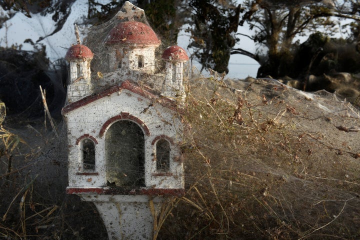 A roadside religious shrine covered in webs.