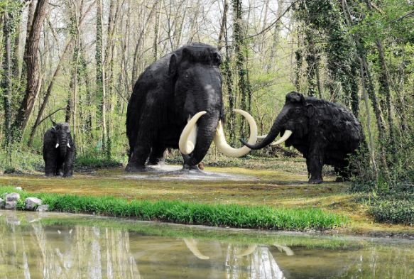 The woolly mammoth were alive during the last ice age 