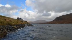 Deep Sea Creatures Off Scotland's Coast Have Been Feasting On Plastic For Decades