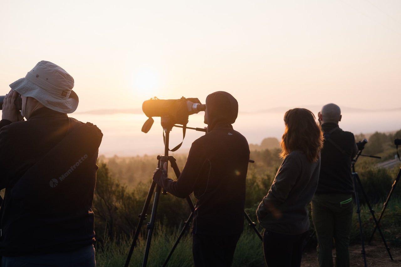 Wolf watchers train their telescopes in the hope of spotting wolves.