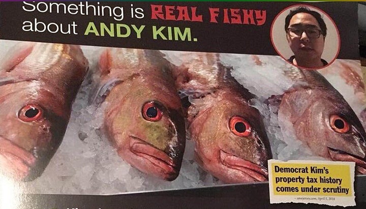 A Republican mailer targeting Kim.