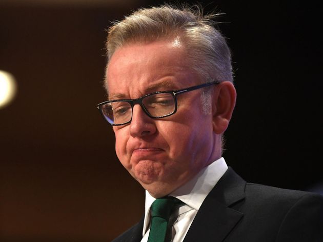 Environment Secretary Michael Gove