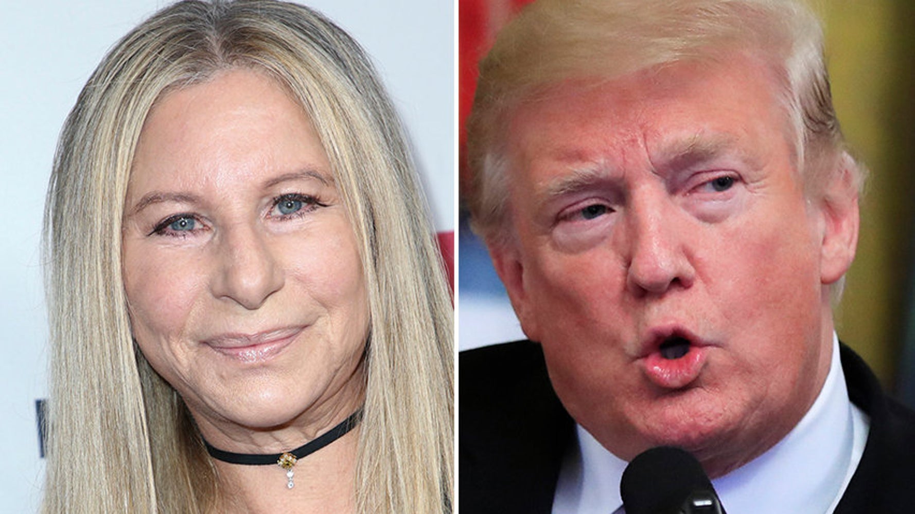 Barbra Streisand Says 1 Thing Should Be Shown On TV Every Day To Debunk Trump's Lies