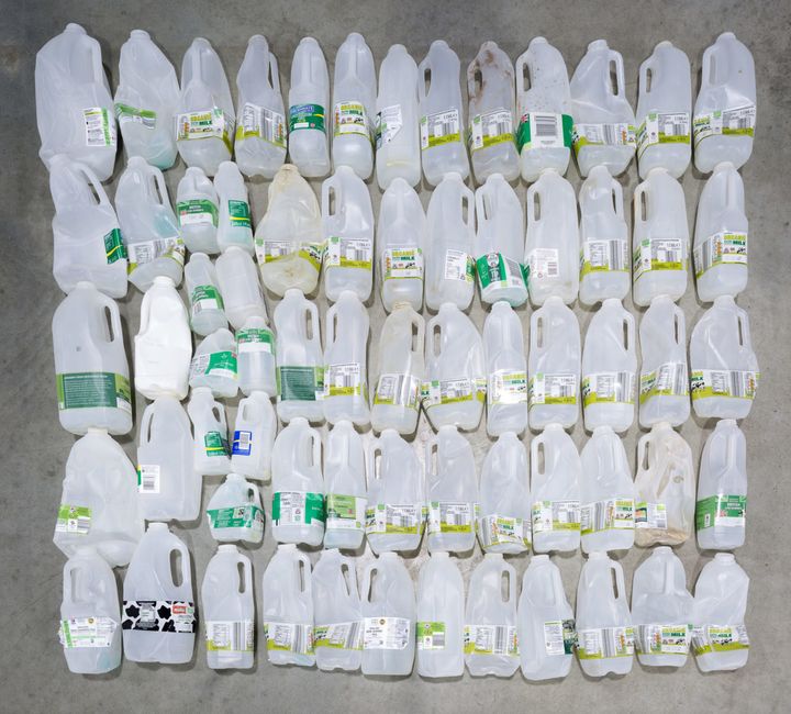 The number of milk cartons Webb accumulated in the course of a year