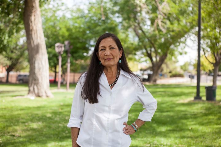 Deb Haaland is one of two Native American women who will now serve in Congress. It took only 229 years.