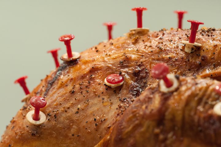 Where to Put a Thermometer In a Turkey