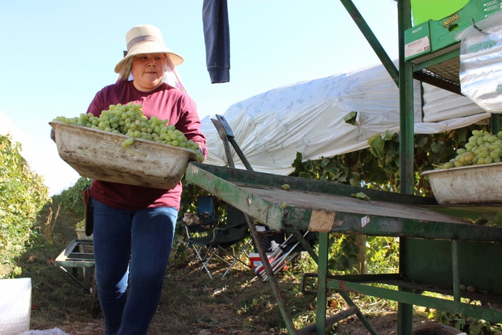 Immigrant workers are the backbone of agribusiness in California’s 21st Congressional District and other GOP-held districts in the Central Valley.