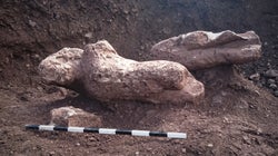 «Στο φως» οι Κούροι της Αταλάντης που ανακάλυψε τυχαία αγρότης