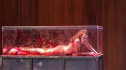 Η εξωστρέφεια της Στέγης: Έλληνες καλλιτέχνες στα φεστιβάλ του κόσμου