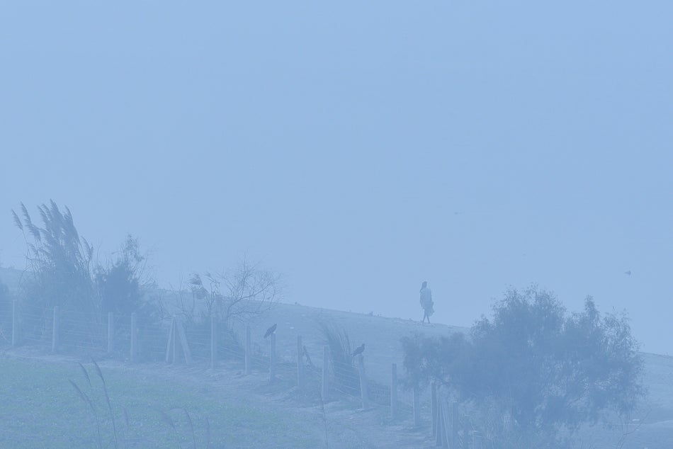 Severe Air Pollution In Delhi NCR