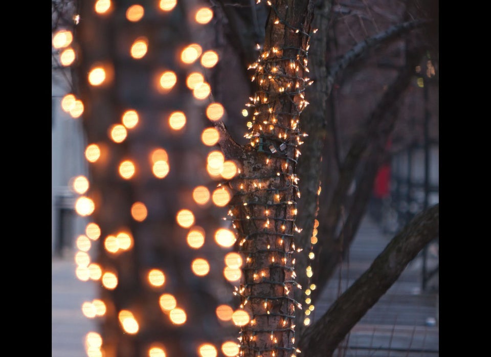 Chicago's Best Holiday Lights Show Us What You've Got (PHOTOS