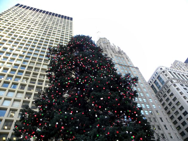 Daley Plaza Christmas Tree Selected While Macy S Walnut Room