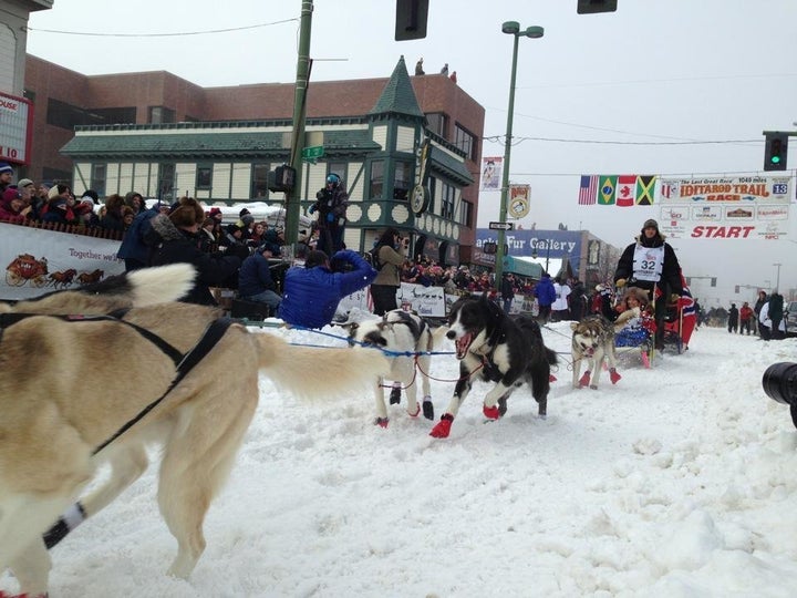 Charley Bejna Iditarod Chicagoland Native In Starting Ceremonies For
