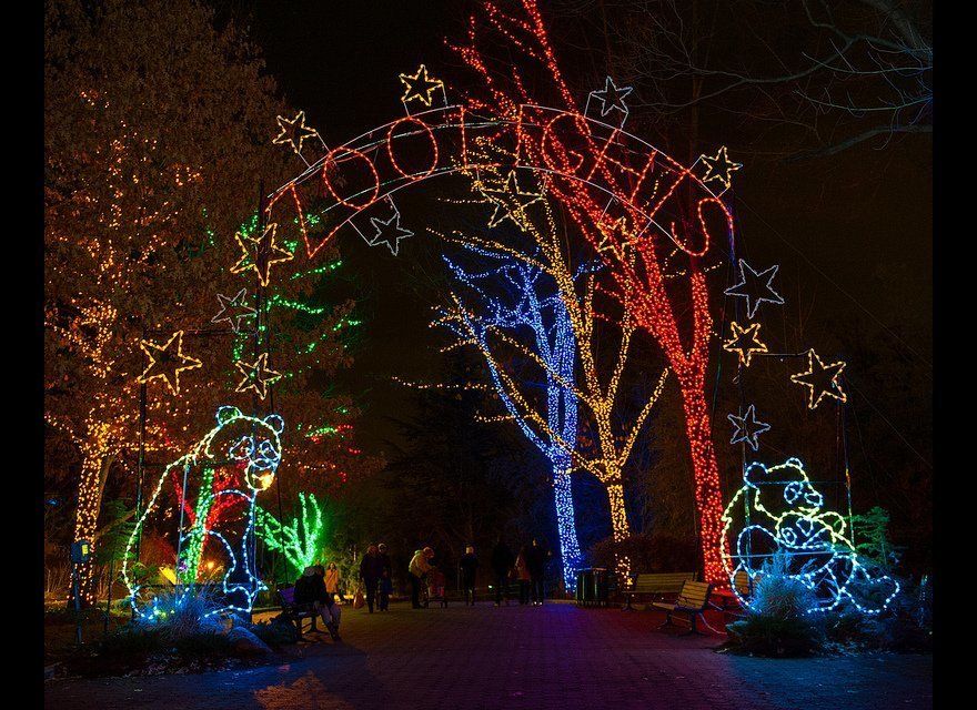 ZooLights at the Smithsonian's National Zoo