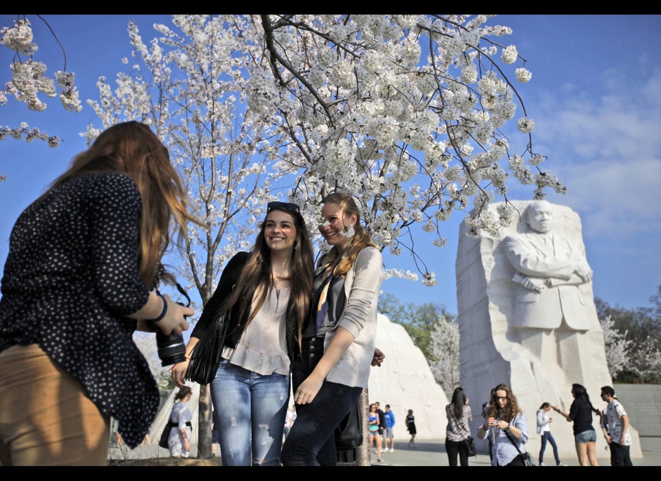 Spring At The MLK Jr. Memorial