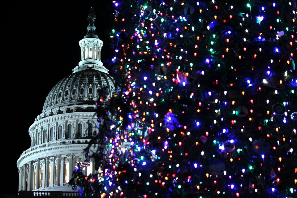 Capitol Christmas Tree Lighting 2012