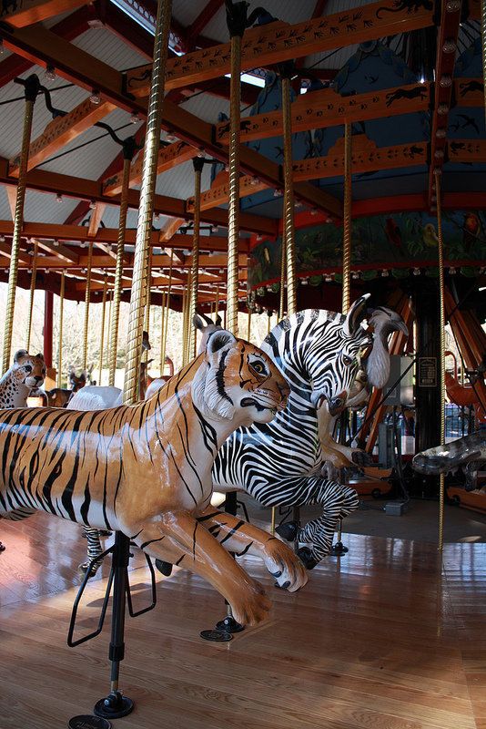 Speedwell Foundation Conservation Carousel