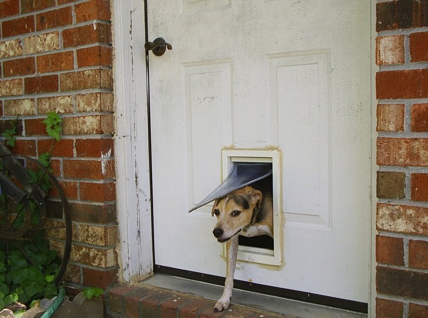 beefeaters beefhide kabobs