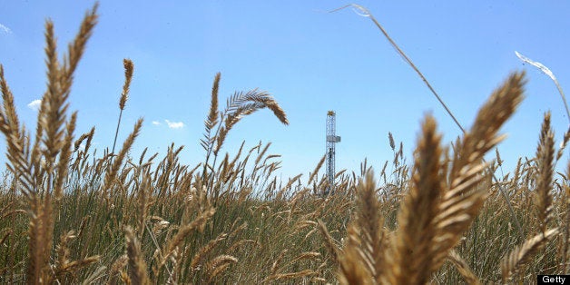 A Noble Energy drill rig in Weld County on Thursday, July 29, 2010. The new exploration and extraction of oil has slightly increased business in the area. Diego James Robles, The Denver Post (Photo By Diego J. Robles/The Denver Post via Getty Images)