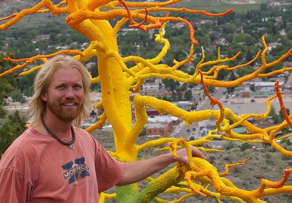 Curtis Killorn -- Tree Painter