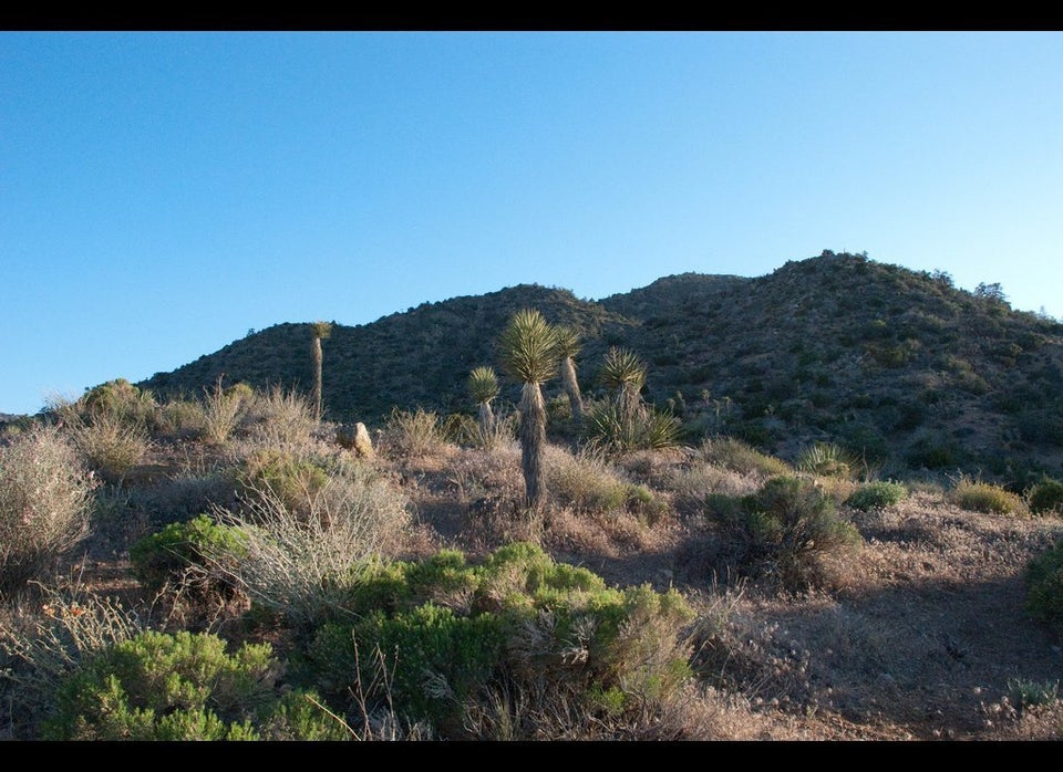 Black Rock Campground