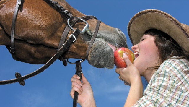 young cowgirl and her ...
