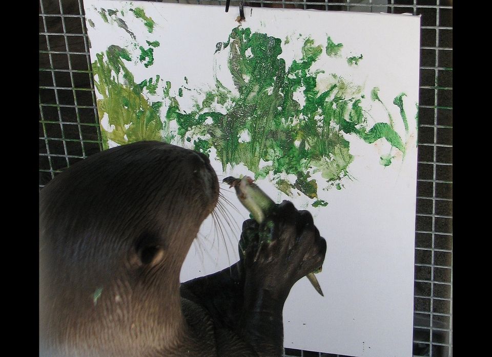 Otter gets intense over green
