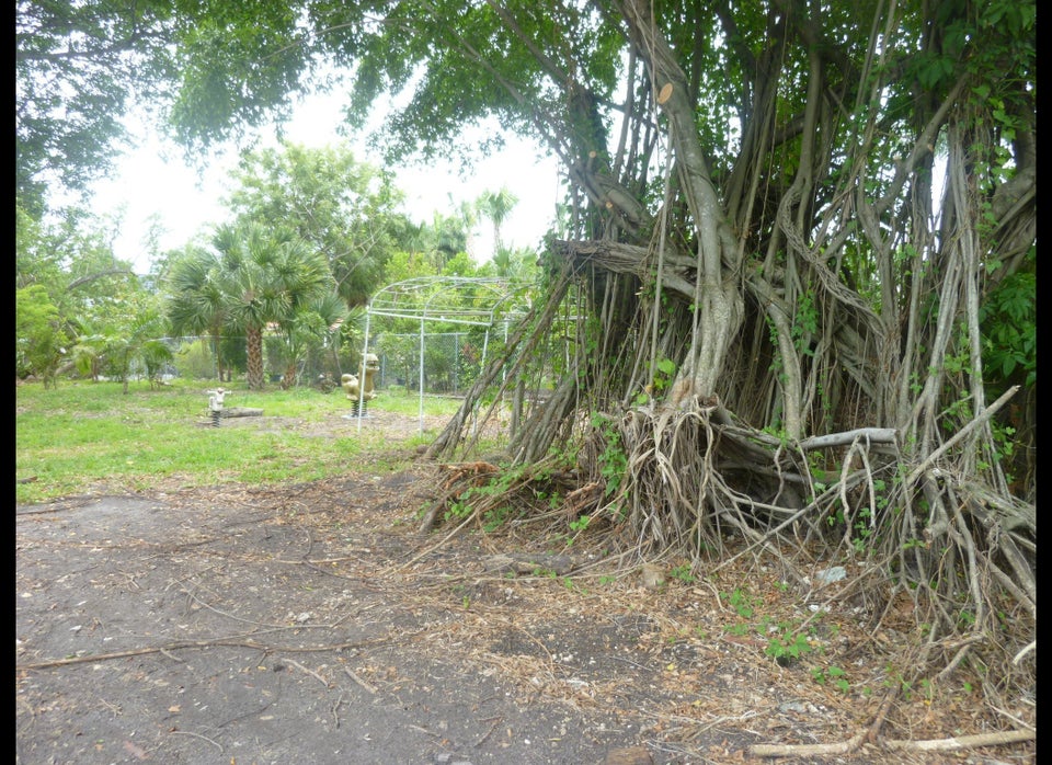 Little River Pocket Park