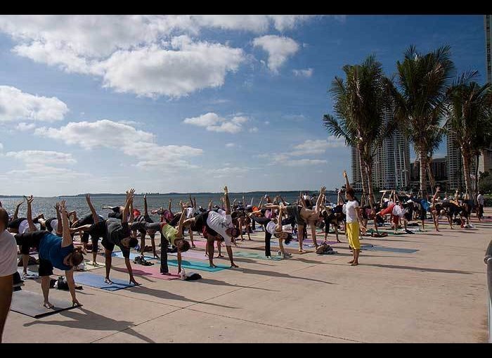 Free Yoga In Miami: Where To Downward Dog Without Forking Over Your ...