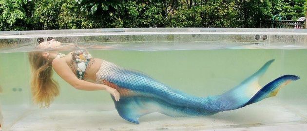 Mermaid trina mason Fla. mermaid's