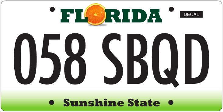 Florida's New License Plates: State Asks Drivers To Vote On Designs ...