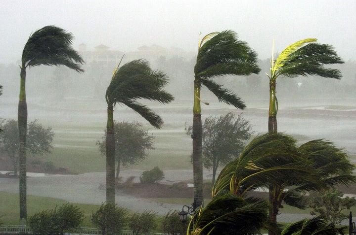 Naples, UNITED STATES: Palm trees at a hotel bend in the fierce winds, 24 October, 2005, as Hurricane Wilma slams into Naples, Florida. Hurricane Wilma pounded Florida with torrential rain and some of the strongest winds in its arsenal early Monday as it came ashore in the southern US state, threatening death and destruction. An Air Force reconnaissance plane measured Wilma's winds at 193 kilometers (120 miles) an hour, slightly weaker than when it made landfall, but still making a strong category three storm. 'It made landfall at 6:30 (1030 GMT) at Cape Romano,' Eric Blake, an official with the National Hurricane Center, told AFP.Cape Romano is about 32 kilometers (20 miles) west of Everglades City, Florida. Landfall marks the official arrival of a hurricane's when the center of its eye reaches land. Quiet usually reigns in the eye of such a storm, with no significant winds, which resume with a vengeance with the back wall of the eye hits land. AFP PHOTO/Stan HONDA (Photo credit should read STAN HONDA/AFP/Getty Images)