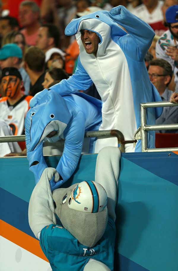 The Costumes At The Dolphins-Bengals Halloween Game Were Pretty Great | HuffPost