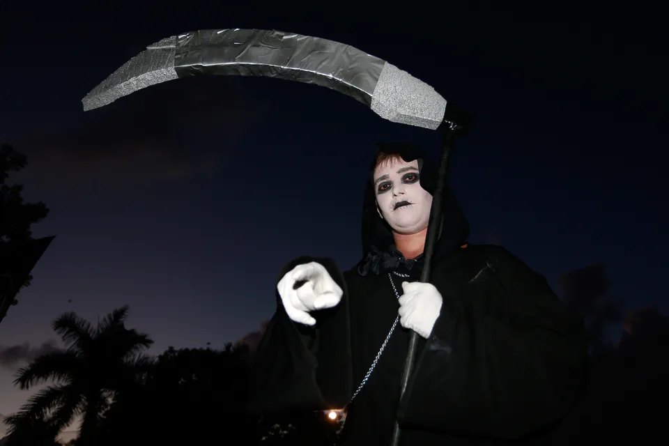 The Costumes At The Dolphins-Bengals Halloween Game Were Pretty